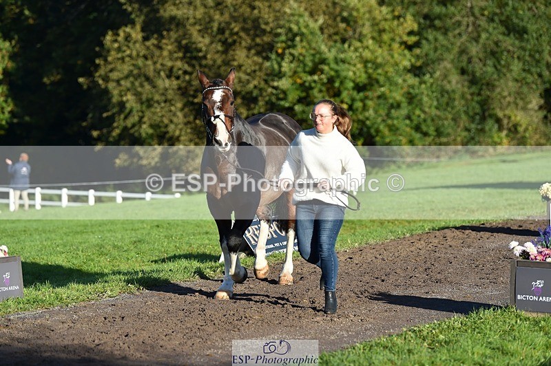 231022-094200-21979 - 444-REDHILL.SKANDEL-Emma.Stokes-TrotUp+SJ