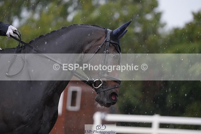 250907-082757-05451 - 038-Greg.DickensBrutus.G