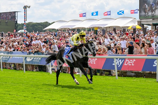 260725-Race 3-Royal Champion-0459 - Race 3 2.40pm Sky Bet York Stakes