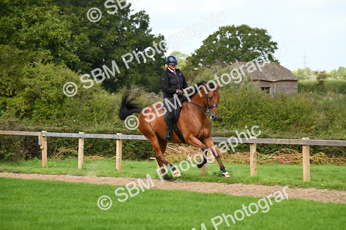 SBM_01995 - S2 - TSR Ridden Horse Showing