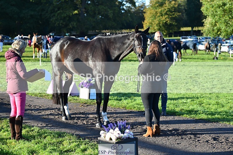 231022-091220-21613 - 671-KILCLOGHER.DAWSON-Lucy.Griffiths-TrotUp+SJ