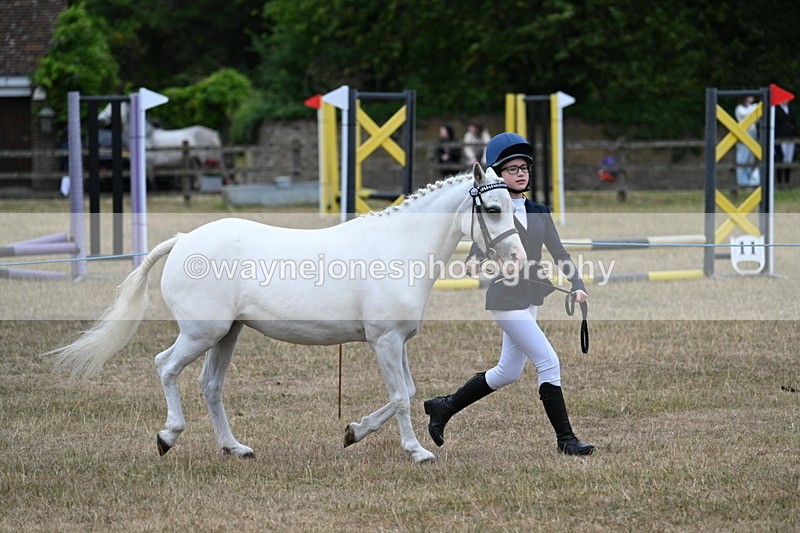 WJ7_8331 - Class 4 Prettiest Mare up to 14.2hh