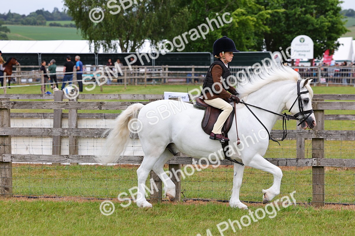 SBM_08479 - Class 42-43 - LIHS BSPS Heritage Working Sports Pony