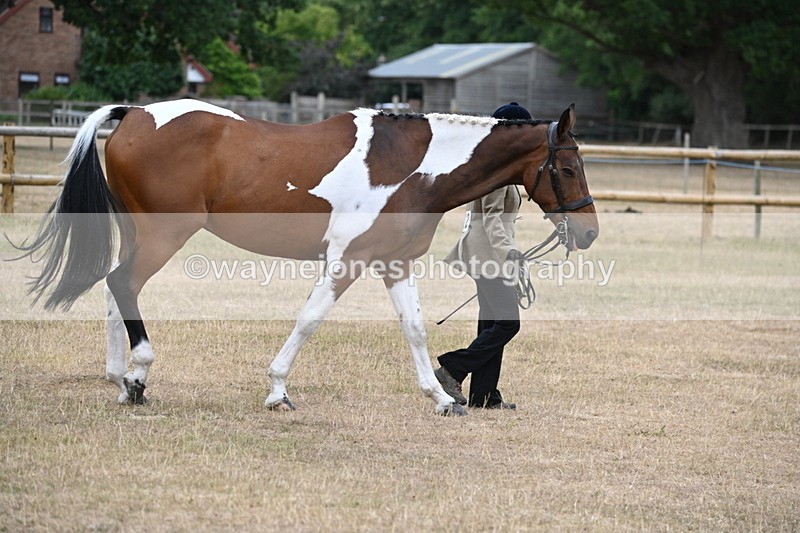 WJ6_7890 - Class 10 Coloured in Hand