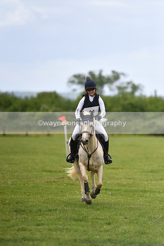 WJ5_3978 - Class 6 80cm