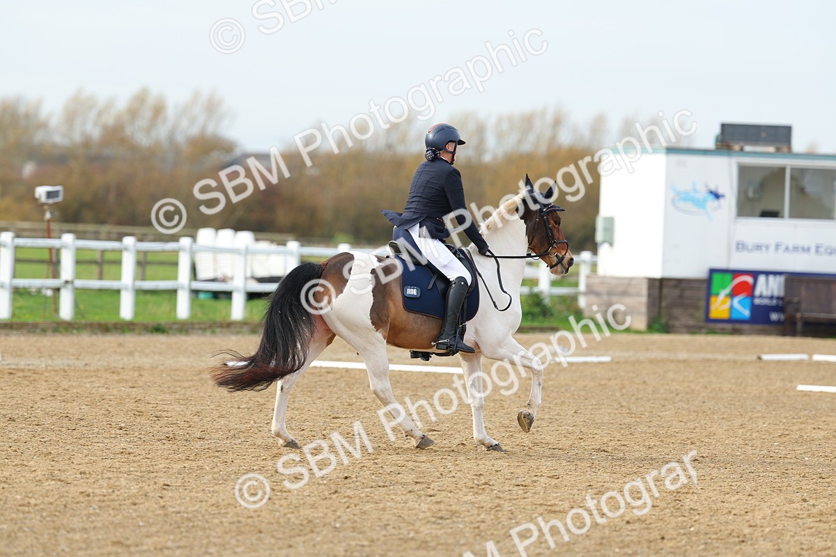 SBM_003622 - Class 6 - Novice 2