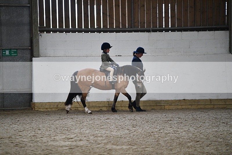 WJ5_6585 - Class 10 Childs Pony