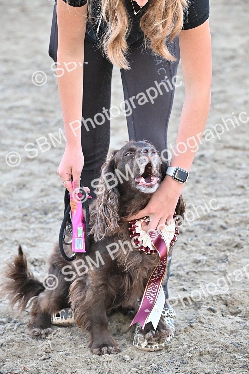 SBM_09557 - Lorry Dogs