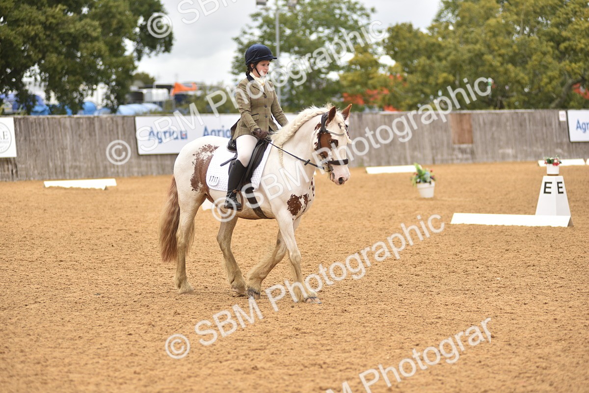 SBM_42340 - D22 - Junior Championship Intro 3