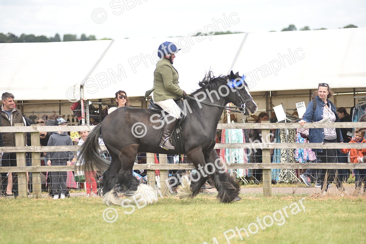 SBM_16000 - Class 117-122 - SSADL RIHS Qualifier