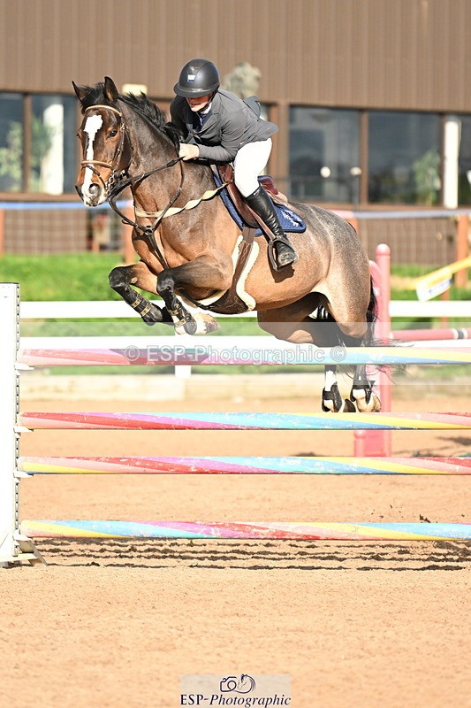 241023A-152017-01165 - Cls 5 Foxhunter and 1.20m Open