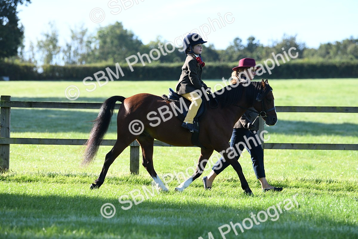 SBM_35341 - S17 - Condition & Turnout - Lead Rein