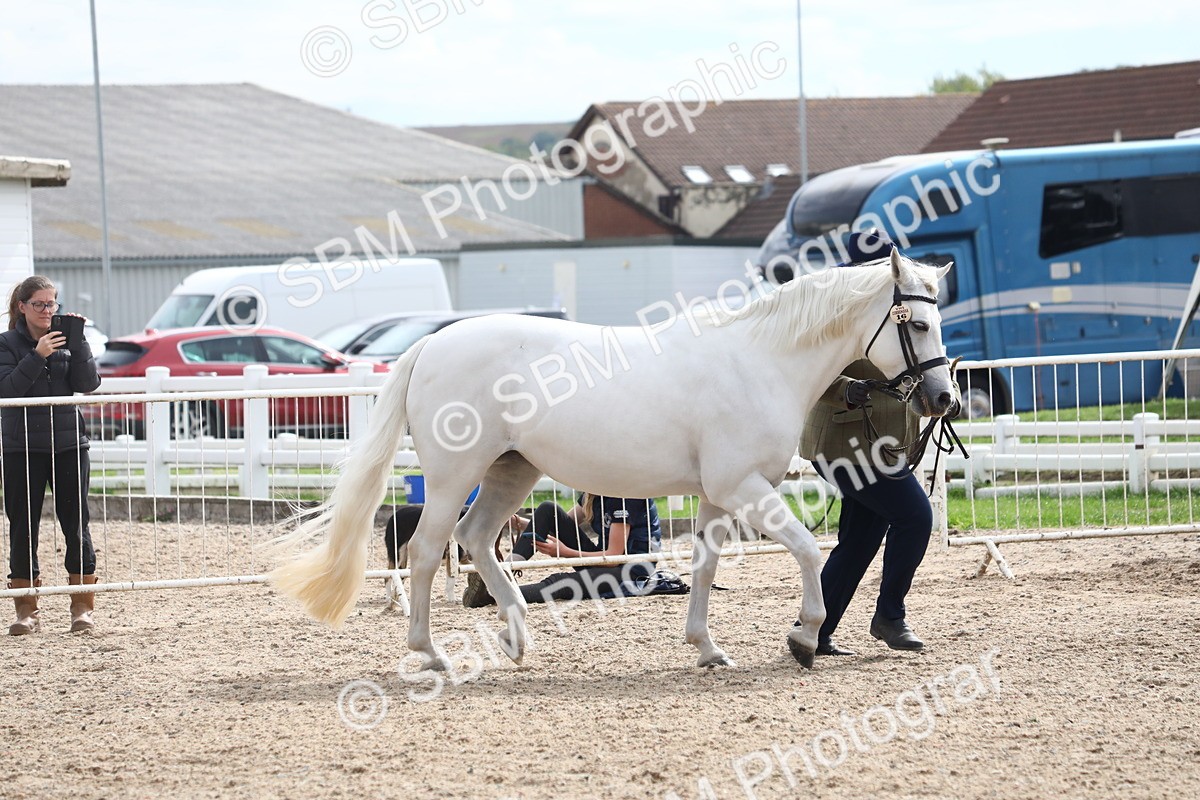 SBM_19066