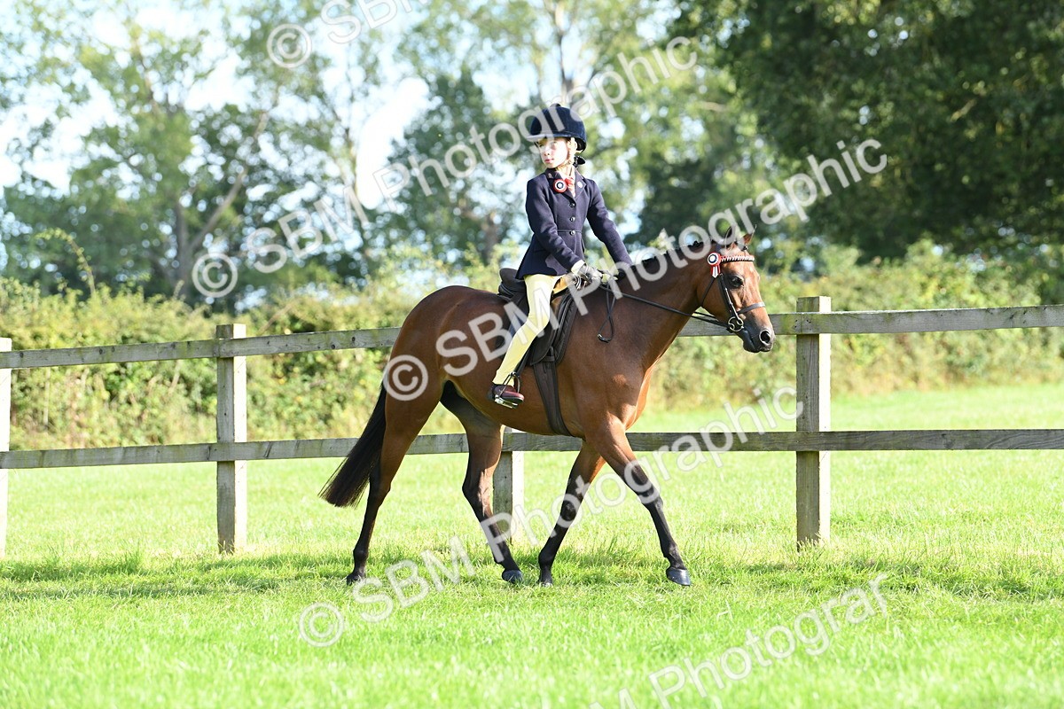 SBM_52374 - S22 - 1st Ridden Show & Show Hunter Pony