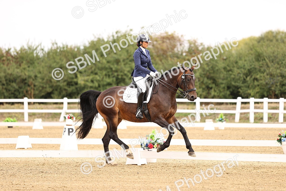 SBM_011609 - Class 1 - Medium 5