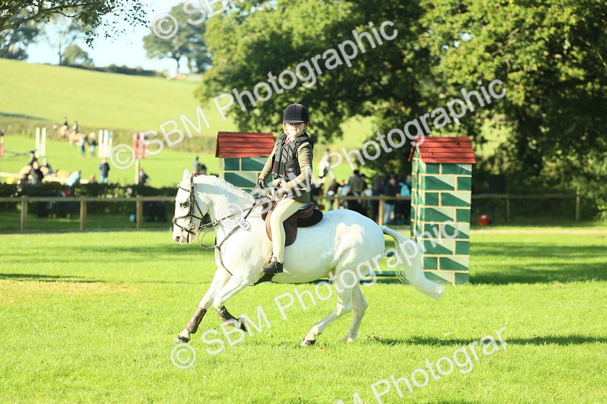 SBM_36287 - S29 - Novice & Newcomers Working Hunter Pony