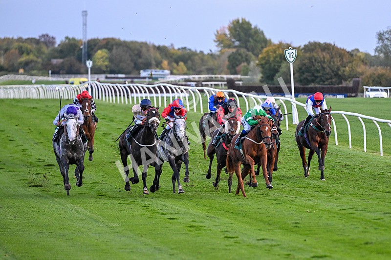 171026-Race 8-Gentle Warrior-6533 - Race 8 5.15pm Go Racing In Yorkshire Future Stars Apprentice Handicap