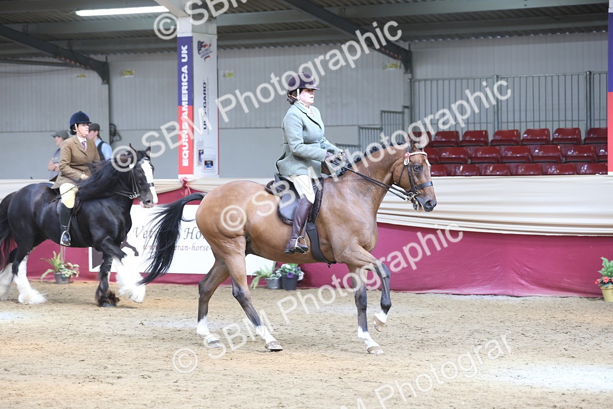 SBM_23741 - class 906 - Supreme Final - Ridden Pre Vet