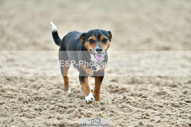 230609A-174321-01937 - Jolly Jumps Ride and Run