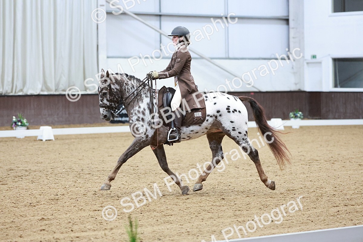 SBM_016602 - Class 5 - FEI INT II - 17.24-18.20