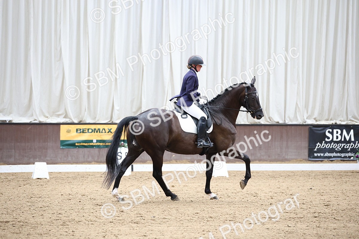 SBM_003490 - Class 5 - Novice 6 Gold - 13.05-14.00