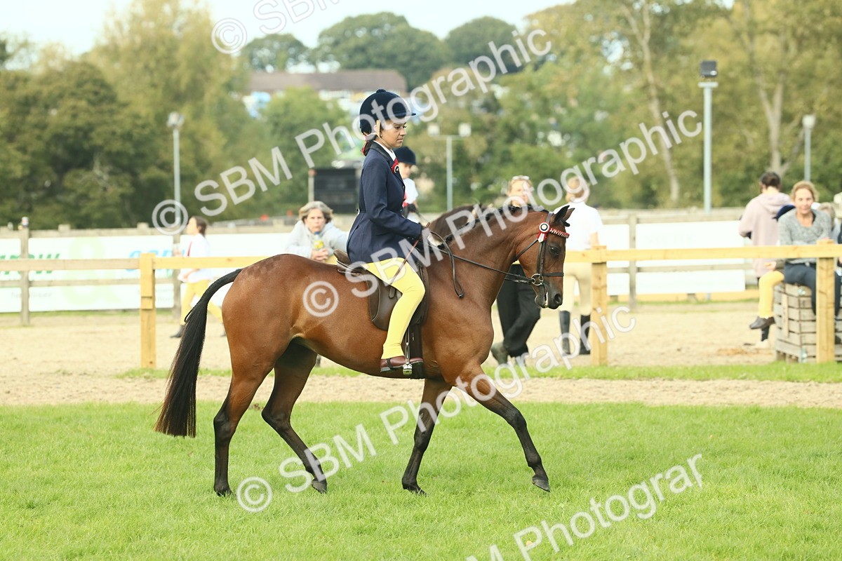 SBM_68084 - S57 - Part Bred Pony Ridden