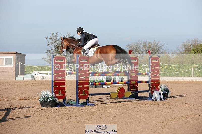 250427-090153-14729 - Cls 28 Young Horse 5yr old