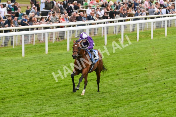 yr22052022r2-9 - Race 2: 4:00pm Sky Bet Sunday Series EBF Novice Stakes