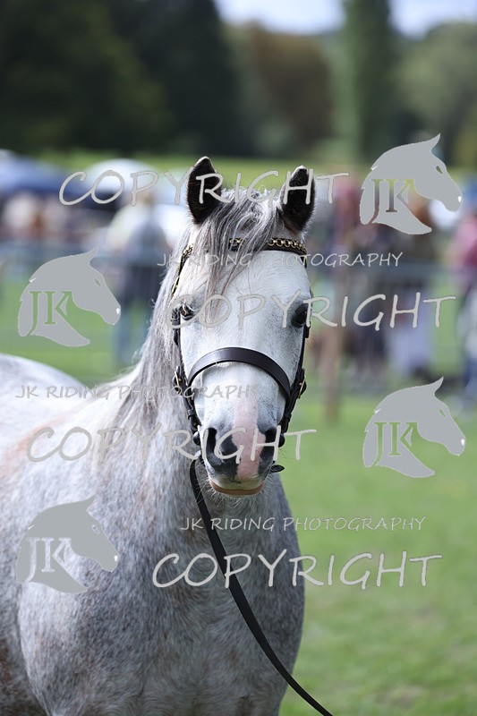 APP_2943 - Class 10a/b M&M in hand