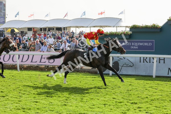 170524-Race 7-Jubilee Walk-2334 - Race 7 5.20pm Irish Thoroughbred Marketing Handicap