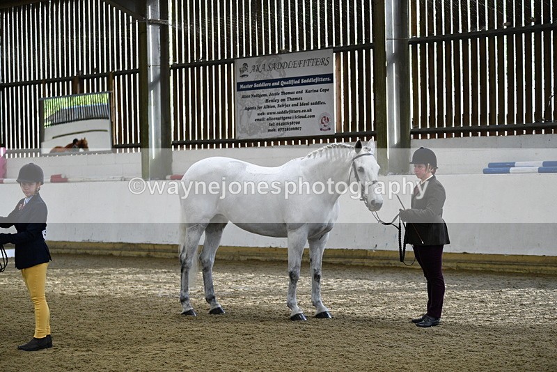 WJ5_3972 - Class 2 Best Condition In hand