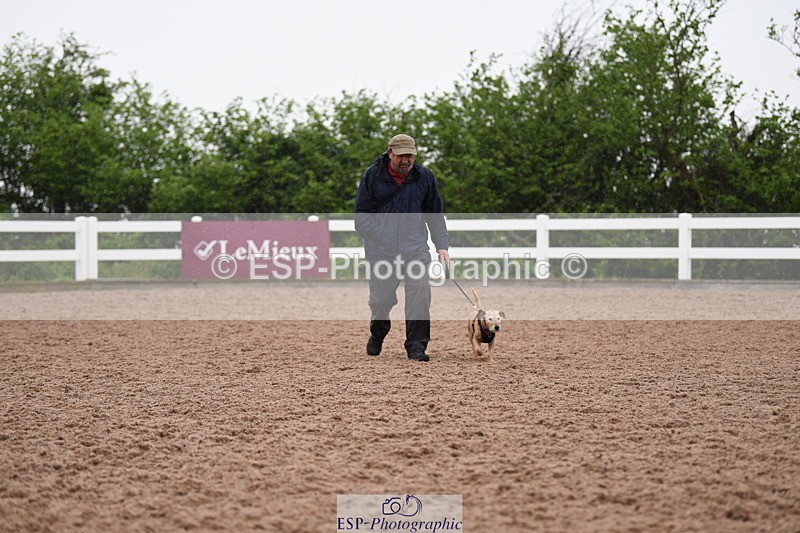 240518A-130126-01236 - Cls 6 Best Veteran