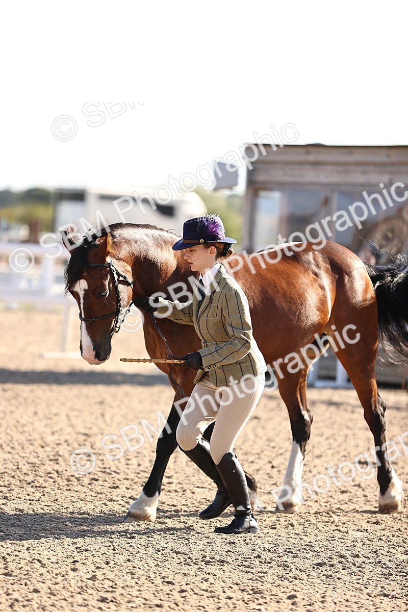 SBM_08489 - Class 402 - IH Veteran Pony