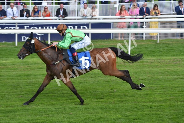 yr09072021r5-50 - Race 5: 4.20pm Garbutt + Elliott Stakes