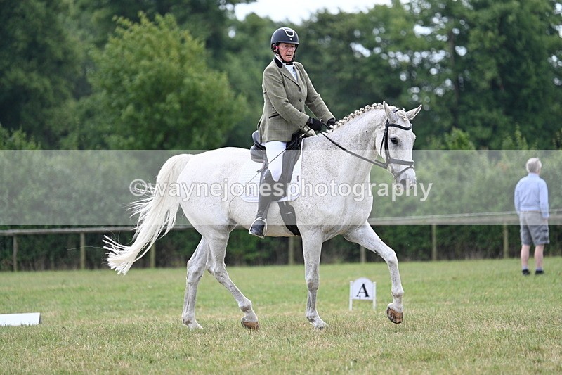 WJ7_5123 - Time 11:22 to 11:51