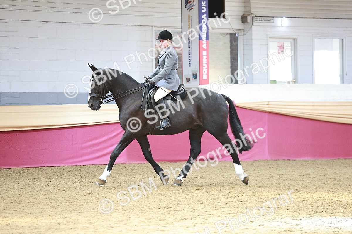 SBM_08310 - Class 11R - Regional Ridden Veteran