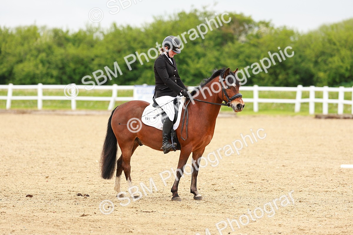 SBM_005244 - Class 16 - Novice 6