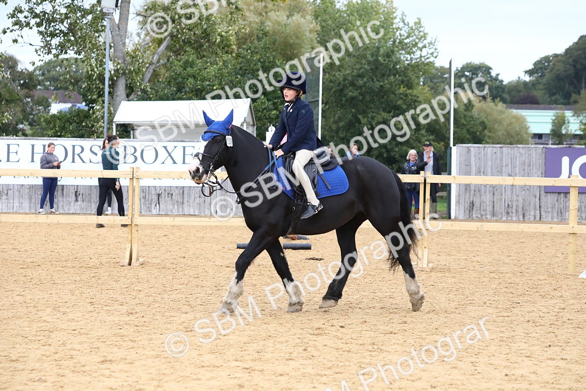 SBM_68189 - J3b - Mini Tour Junior Pony 40cm Championship