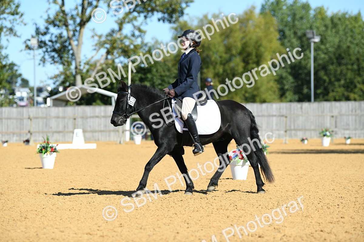 SBM_18186 - D4 - Small Tour Championship - Intro B