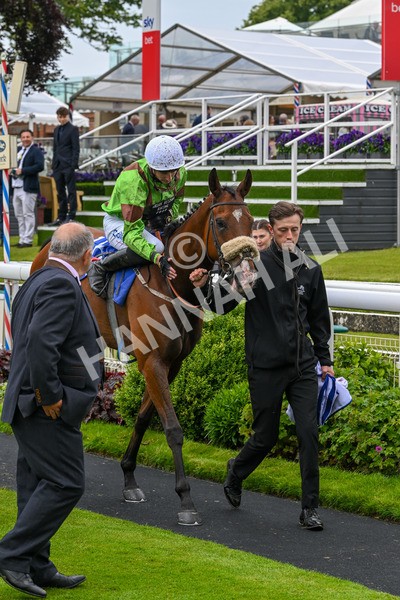 150624-Race 2-Tolstoy-6902 - Race 2 2.25pm Sky Bet Proud To Support Macmillan Handicap