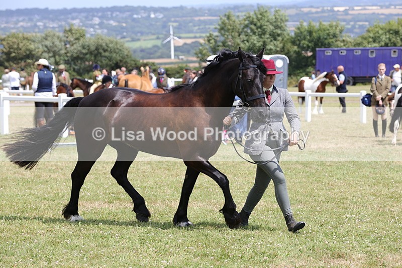 1X9A4856 - Class 35: Veteran In Hand