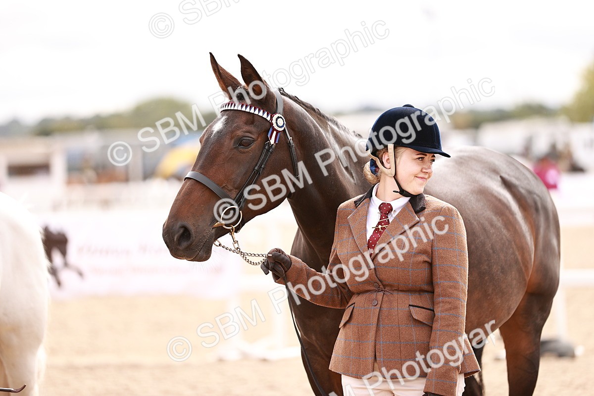 SBM_16322 - Class 413 - Best Condition - Adult