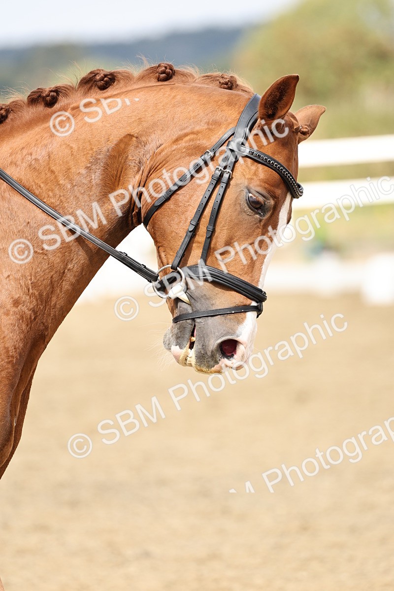 SBM_018338 - Class 16 - Novice 5 - 11.12-12.01