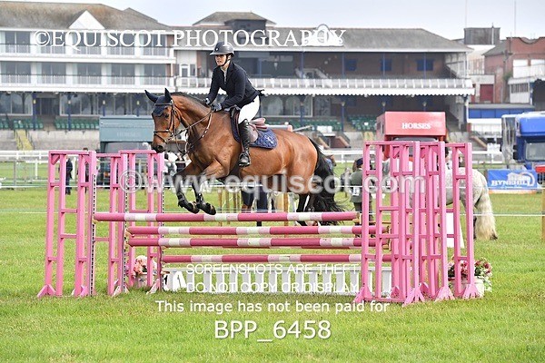 BPP_6458 - CLASS 1 Senior Newcomers/ 1.10m Open