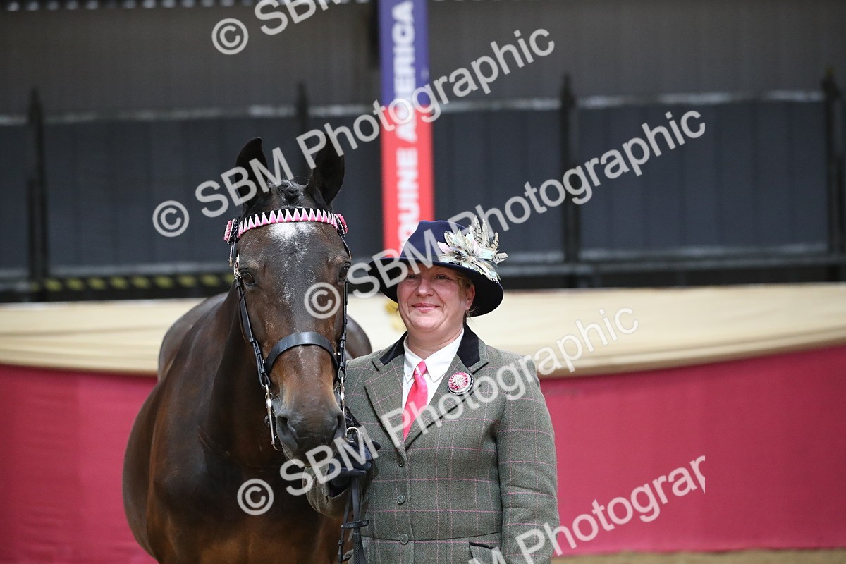 SBM_06396 - Class 9R Regional- IH Pre Vet