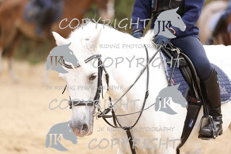 _R6A0922 - Sand arena