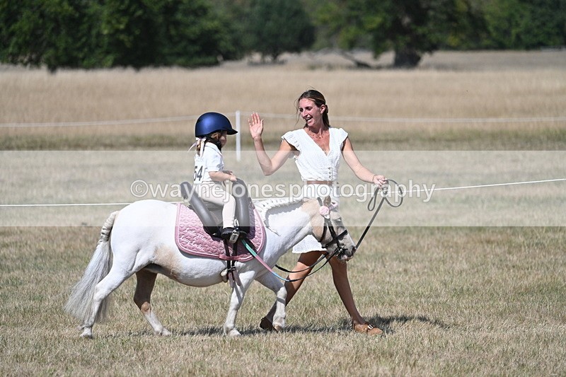 WJ7_1245 - Class 41 Prettiest Mare