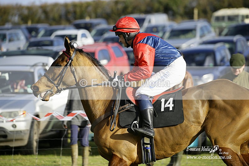 PtP 300122 325 - South Dorset Hunt - Point-to-Point Races 30/01/2022