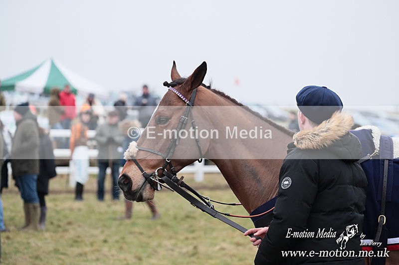 PtP 160225 653 - Combined Service Point-to-Point Races Larkhill 16/02/25