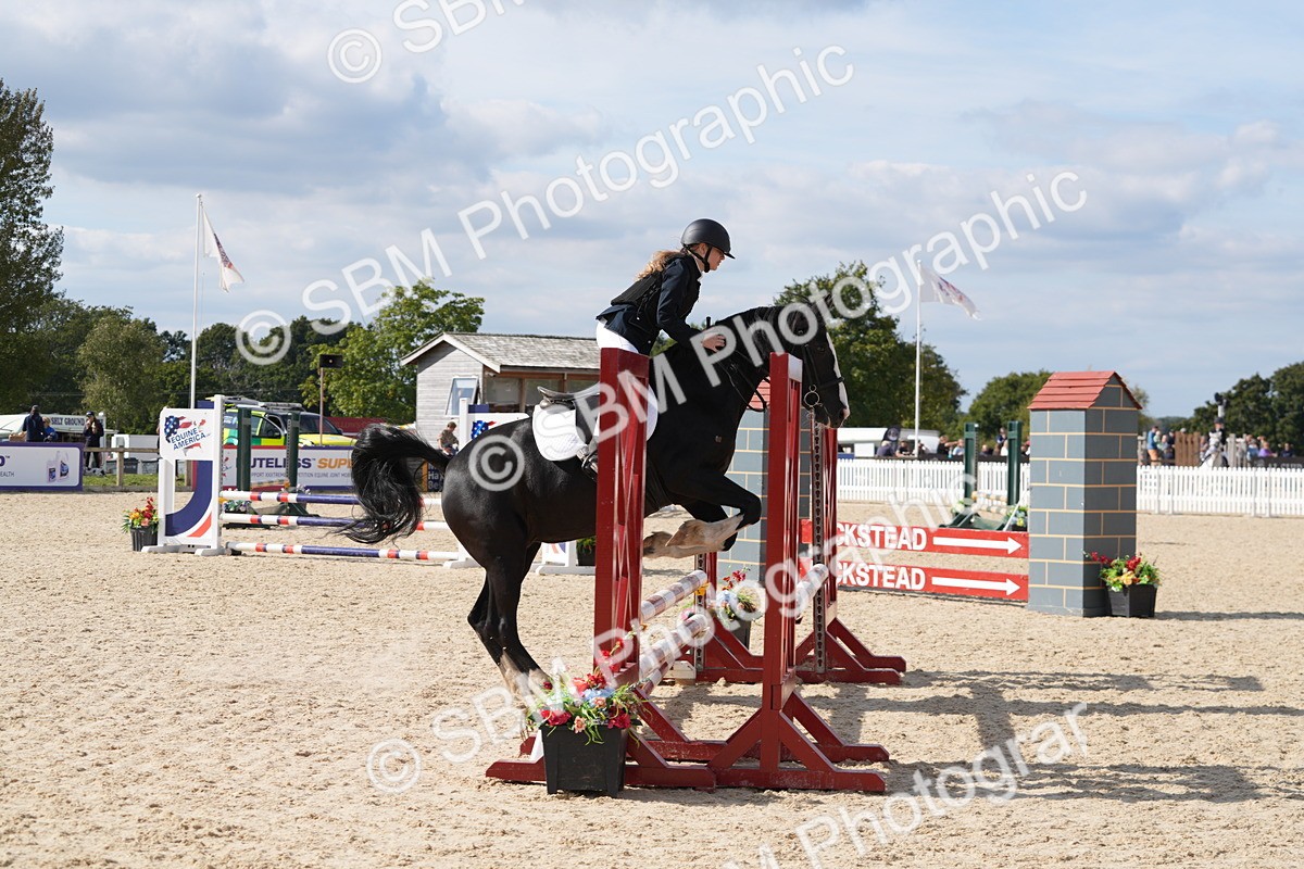 SBM_48544 - J22 - Junior Horse 65cm Championship